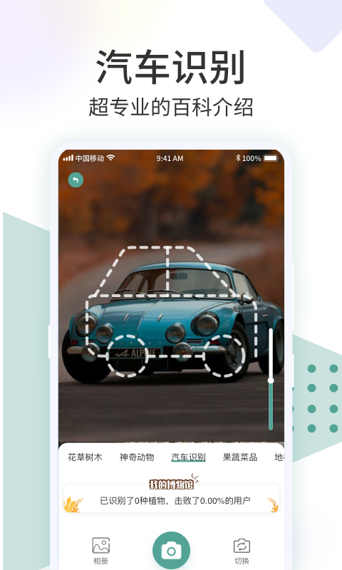 ʶ����(����ʶ��)