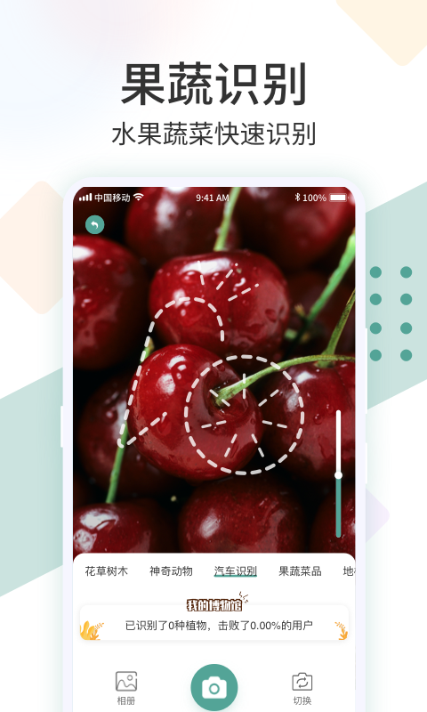 ʶ����(����ʶ��)