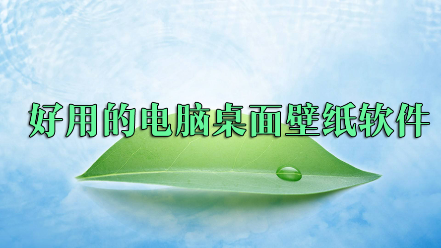 ���Ա�ֽ����_�����ֽ����_��ֽ�����ĸ�������������