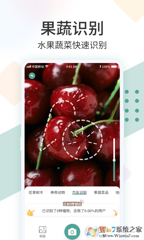 ʶ����(����ʶ��)