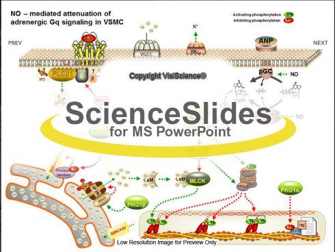 ScienceSlides(PPT�������) 2016��Ѱ�