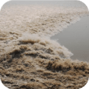 全国潮汐表 v10.5.2安卓版