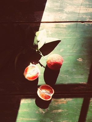 vsco中文版 vsco中文版