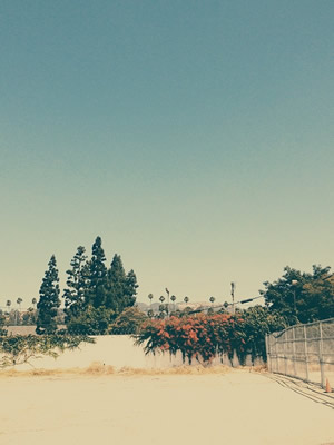 vsco中文版 vsco破解版安卓下载