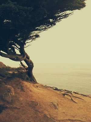 vsco中文版 vsco中文版