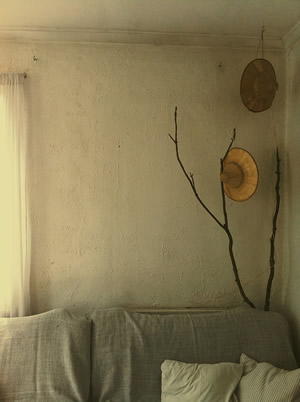 vsco中文版 vsco破解版安卓下载