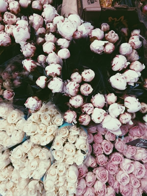 vsco中文版 vsco中文版