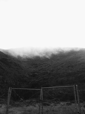 vsco中文版 vsco中文版