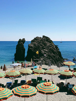 vsco中文版 vsco破解版安卓下载