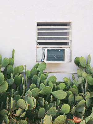 vsco中文版 vsco中文版