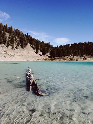 vsco中文版 vsco破解版安卓下载