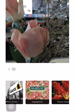 Prisma中文版 Prisma中文版