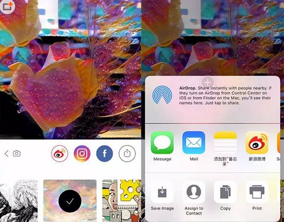 Prisma中文版 Prisma中文版