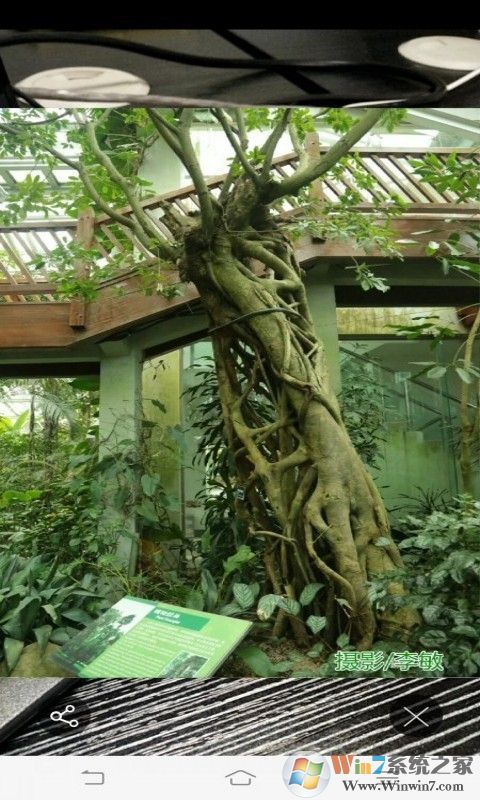 FindAR(增强现实软件)