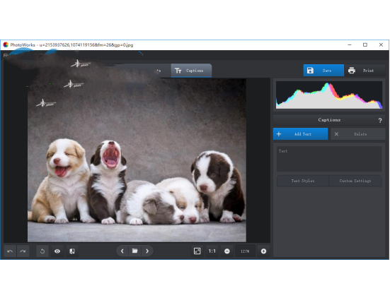 PhotoWorks(ͼ��������) V8.0������