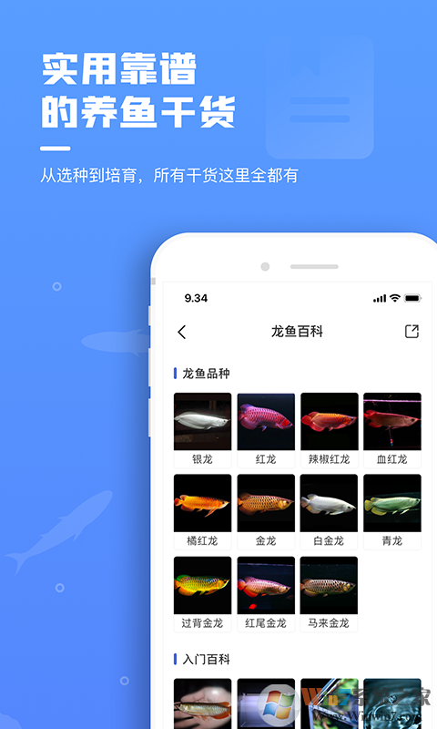 鲲天下水族饲养社区