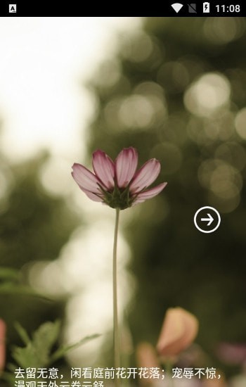 蔷薇书院 蔷薇书院