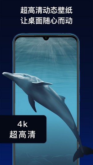 ��̬����