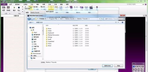 Sibelius����������ͼ