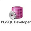 PL/SQL Developer 32/64λ(����װ�̳�)