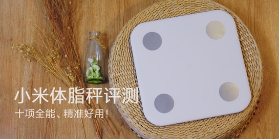 小米体脂秤