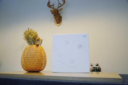 小米体脂秤app下载