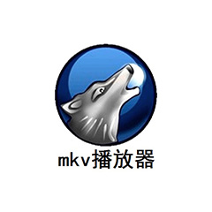 MKV��ý�岥����