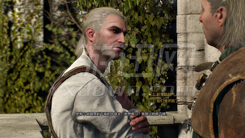 巫师3:狂猎年度版全DLC整合版中文版