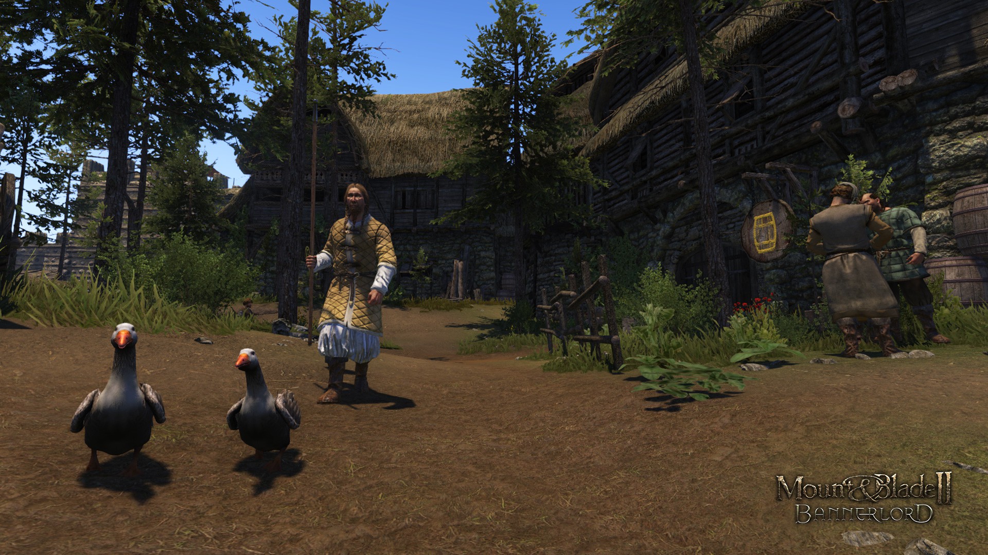 �����뿳ɱ2