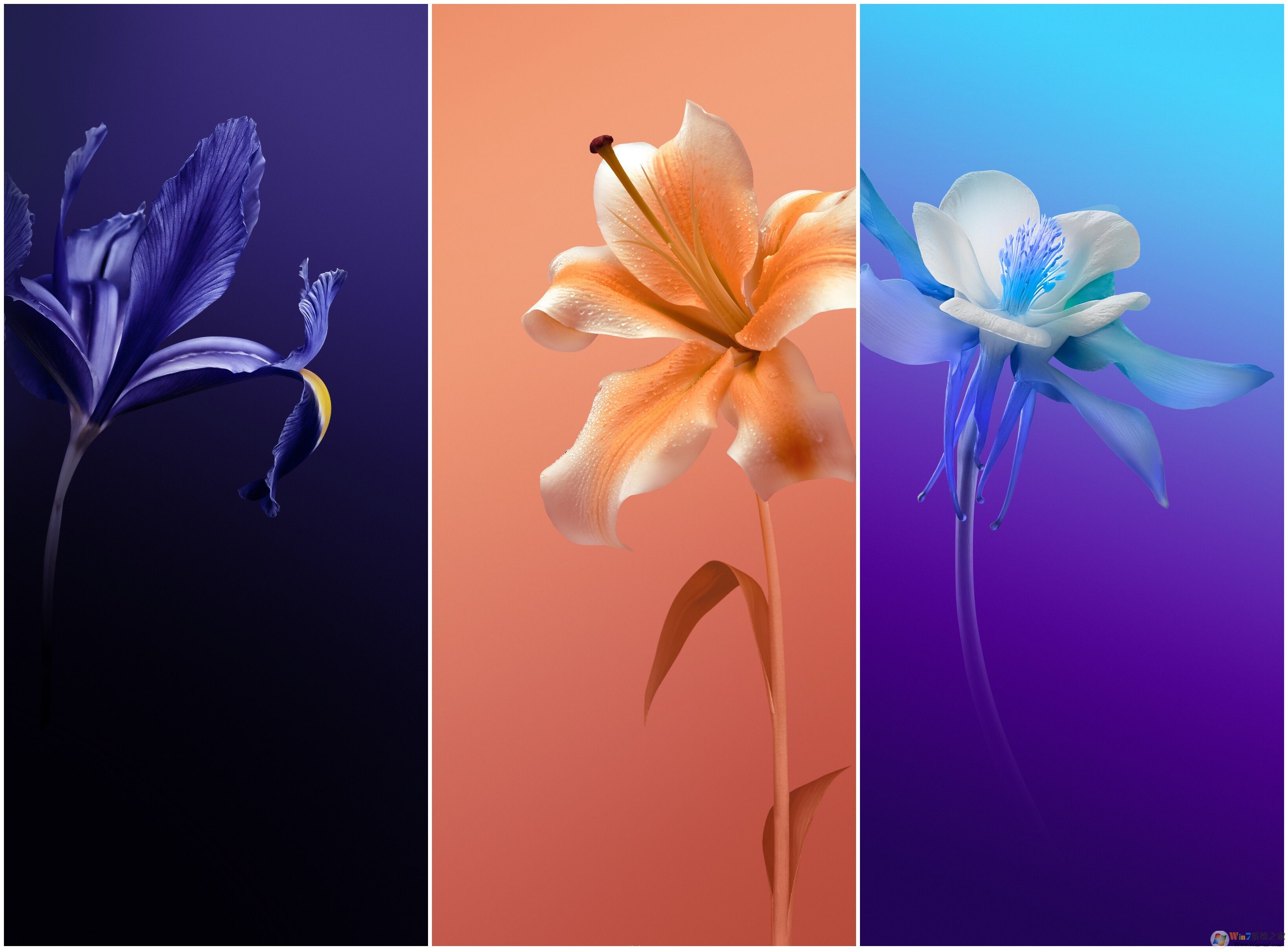 ��ҫx30���������ֽ(15�Ÿ���)