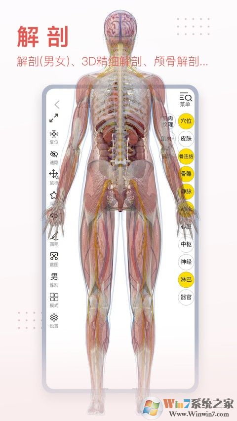 3Dbody解剖医学软件