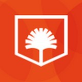 北京综评 安卓版v2.0