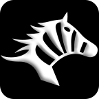 斑马快跑打车软件 V4.70.5.002安卓版