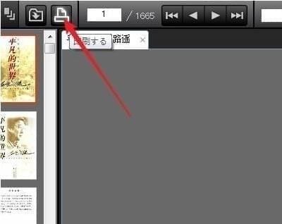 CubePDF Viewer(PDF�ļ��Ķ���)