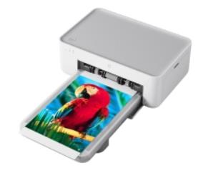 С���׼���Ƭ��ӡ����������