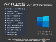 Win11רҵʽ|Win11 64λרҵ(Զü)V2024