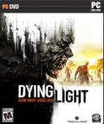 ���ŵĹ�â�����޸���(32��ȫ����)