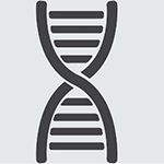 DnaMan 9(�๦���ۺ����з�������)