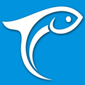 凤台小鱼网 v5.8.0安卓版