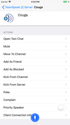 TeamSpeak3语音聊天