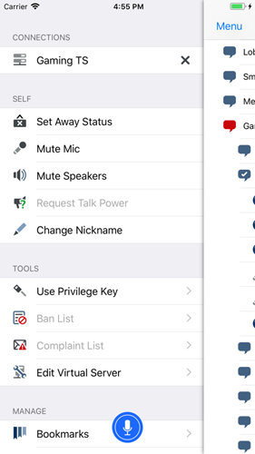 TeamSpeak3语音聊天