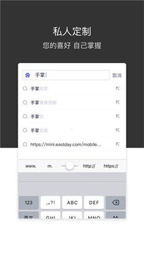 绿叶浏览器APP