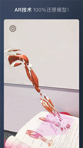 维萨里3D解剖全集