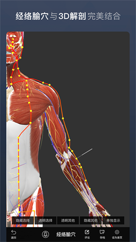维萨里3D解剖全集