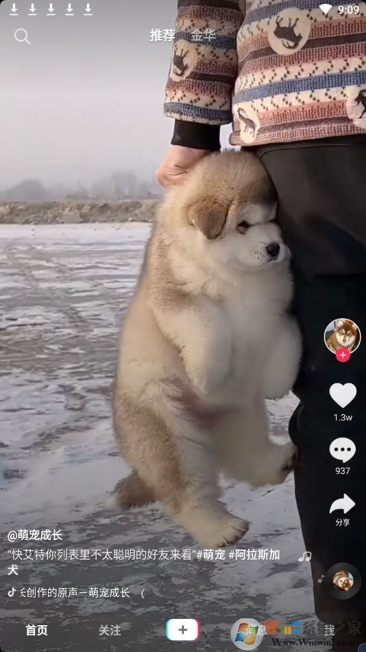 ��������Ƶ�ɰ汾