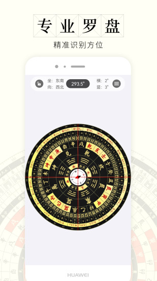 问真罗盘排盘软件