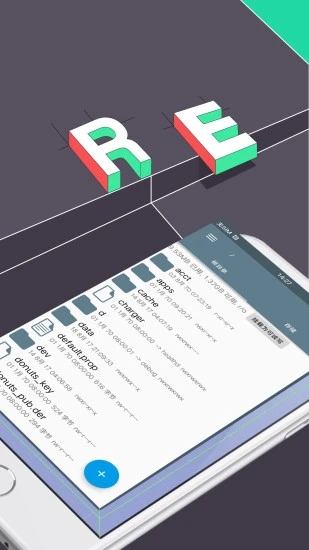 RE�ļ�������