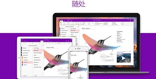OneNote�칫����