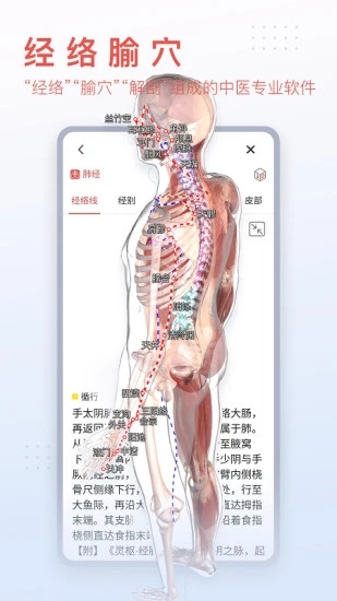 3Dbody解剖APP手机版