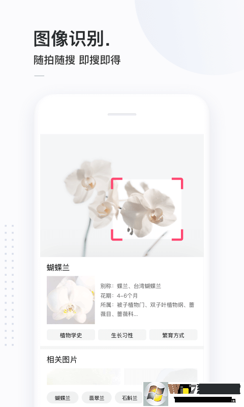 简单搜索软件下载安装